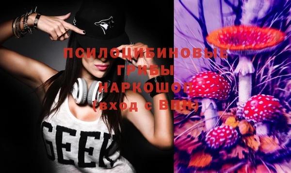 прущая мука Армянск