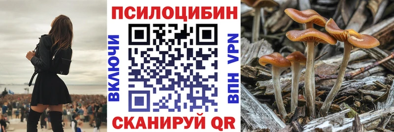 Галлюциногенные грибы прущие грибы  ОМГ ОМГ tor  Баксан 