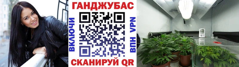 Бошки Шишки Bruce Banner  Баксан 